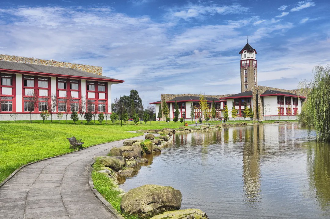 成都东软学院专业及就业率,成都东软学院2017年就业