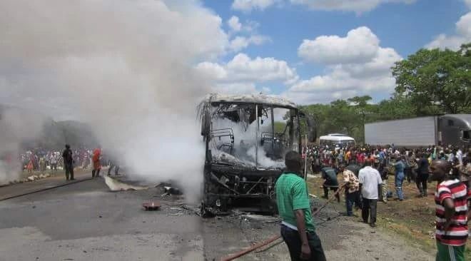雨后爆发的飞蚁,靠超强繁殖苟了2亿年却沦为“优质蛋白来源”