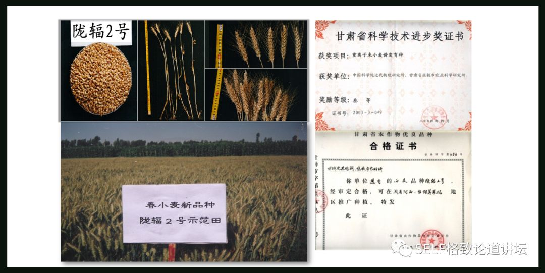 这个装置成功辅助我国两弹爆炸，现在它能治疗肿瘤