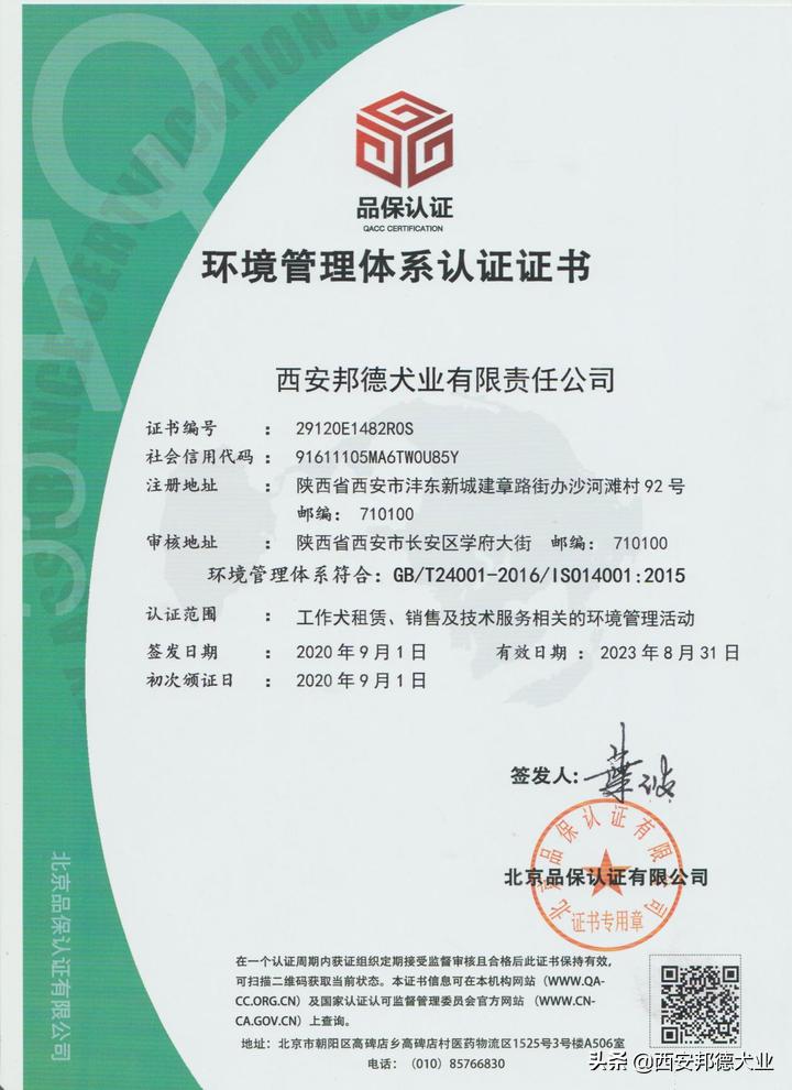 宠物训练学园,宠物训练营学校