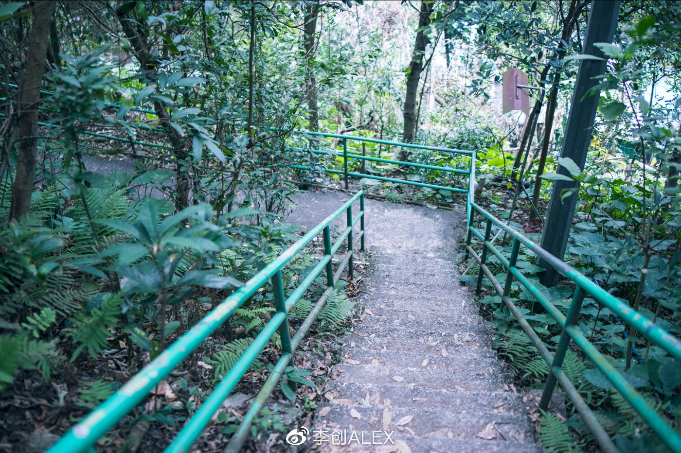 离香港比较近的旅游景点,香港小众好玩的地方推荐