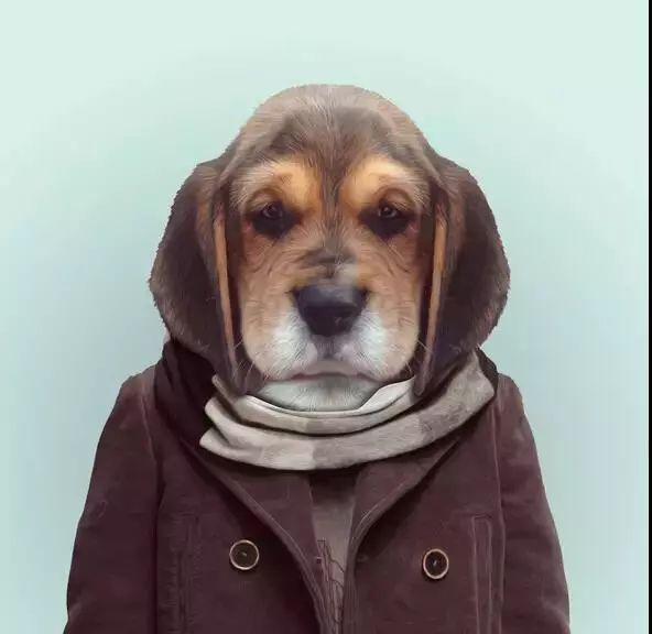 恭喜你！你被通缉啦！企鹅旅行网招人啦！