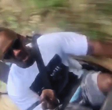 混蛋有什么意思,魂淡是什么梗