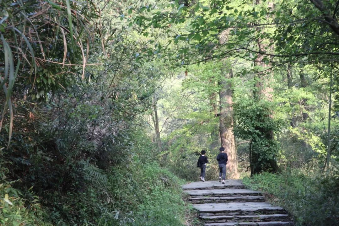 婺源清华朴园,婺源旅游攻略2日游民宿