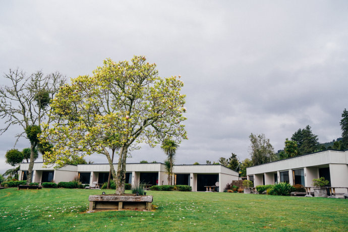 新西兰｜在首屈一指的滑雪胜地，与黑天鹅一起戏水