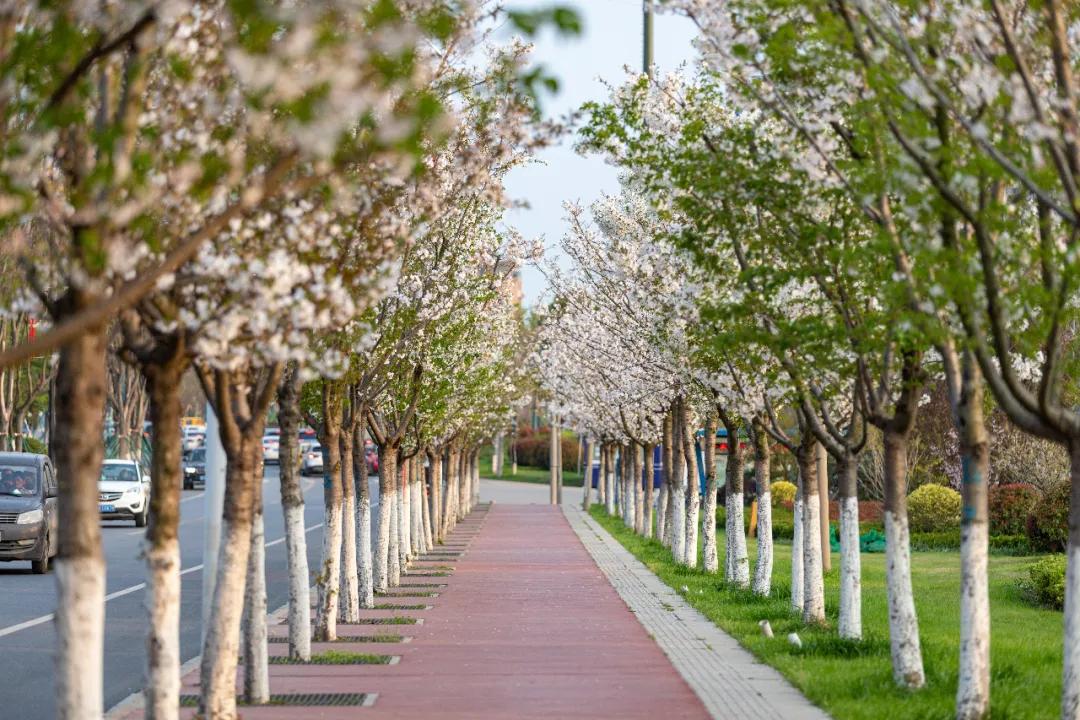 浦口清洗,浦口自助洗浴