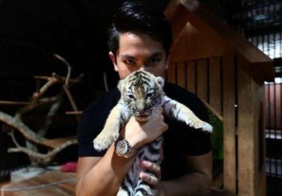 亚洲高富帅马丁,亚洲第一高富帅马丁