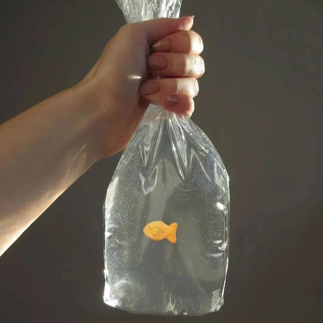 太诱惑了！外国美女把“人体”艺术玩到极致！网友：好大胆好喜欢