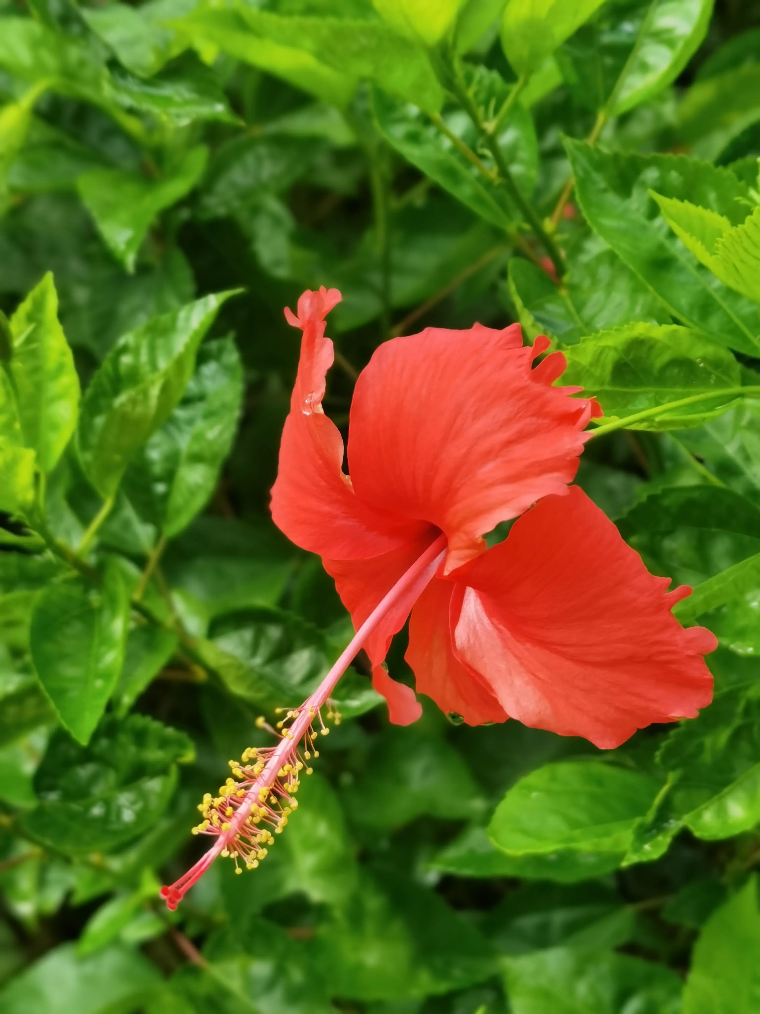 儿歌秋天来了诗歌,秋天来了诗歌