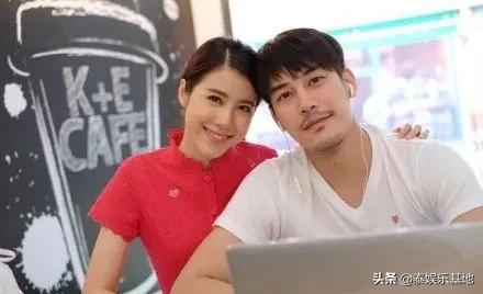 泰星靠什么赚钱,泰星的副业