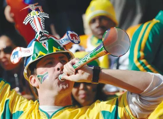 两只猫猫打架怎么处理,家里的两只猫总是打架