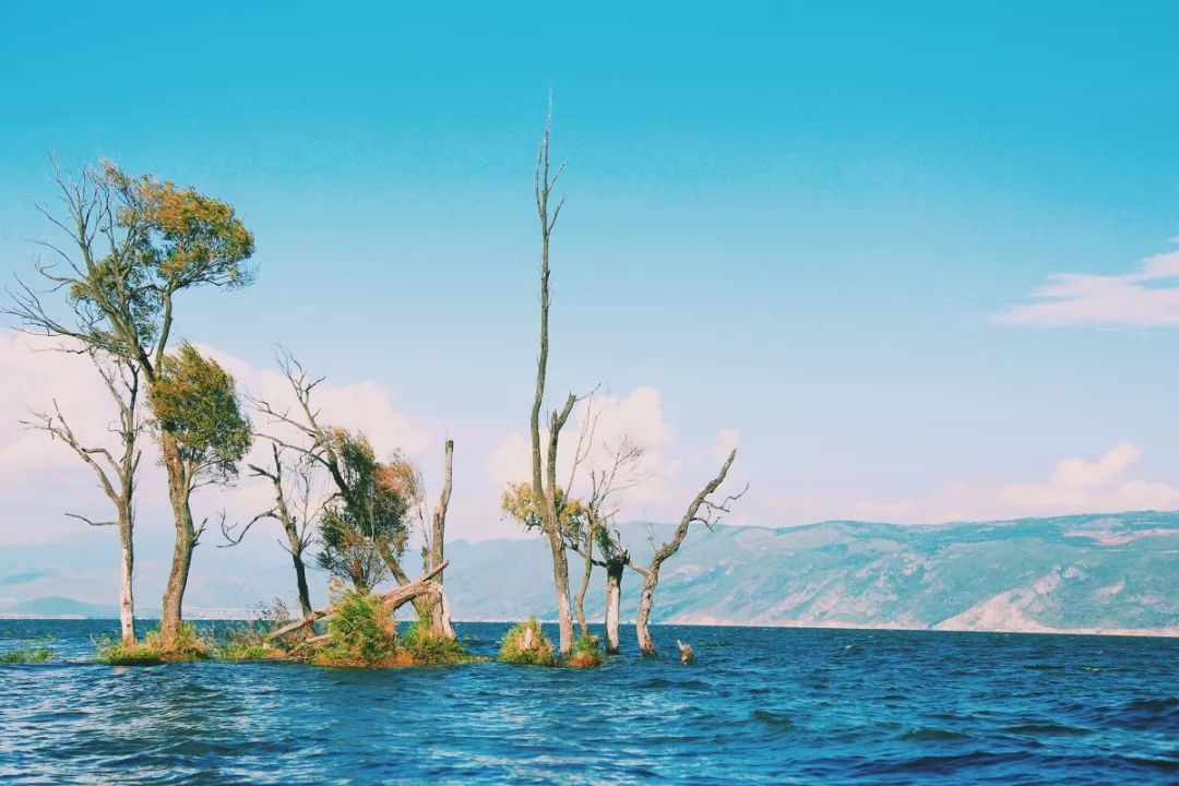 嫁给一个很爱的人是什么体验,喜欢旅行的男人值得嫁吗