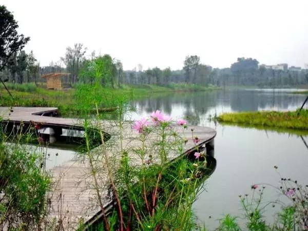 华润置地自在域项目,成都华润置地自在域户型