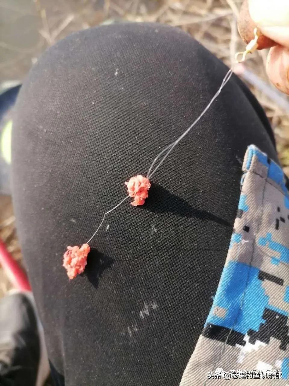 用九一八钓小鱼,九一八野钓鲫鱼视频