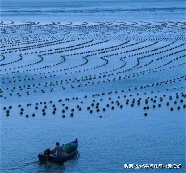 换一个角度享受生活乐趣,日照吴家台渔家乐推荐