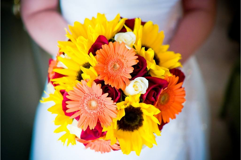 装修家里5种去除甲醛植物,新房装修后去甲醛的植物有哪些