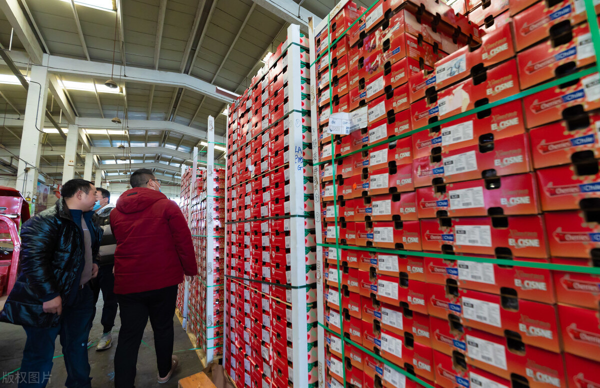 中国樱桃产业现状,中国樱桃发展趋势