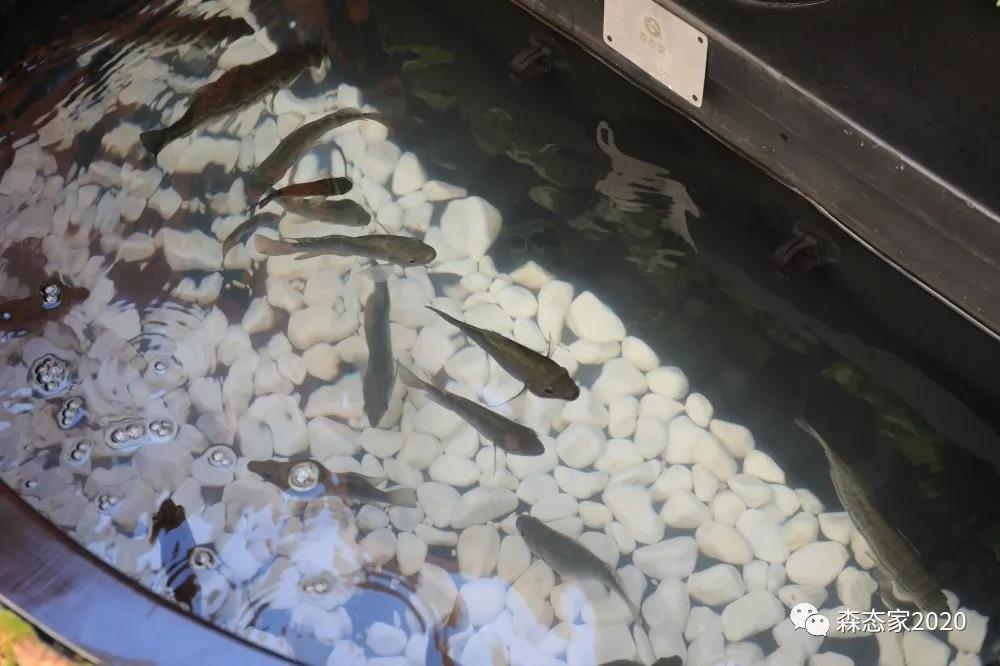 母亲节,敢和你妈这样玩吗?朋友圈豪嗮幸福