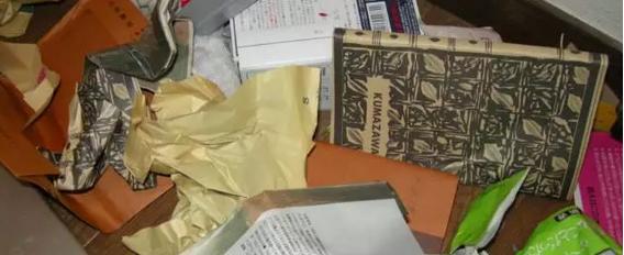 日本极简主义生活方式是什么,日本极简主义生活方式