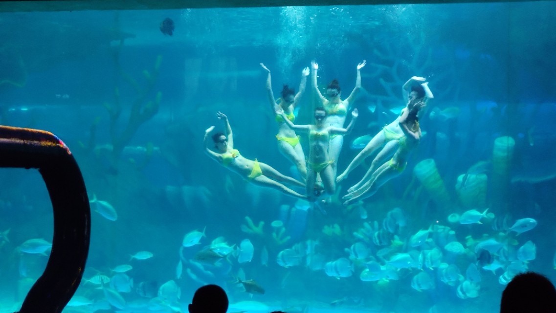 福州欧乐堡海洋世界家庭套票团购,福州欧乐堡海洋世界门票价格