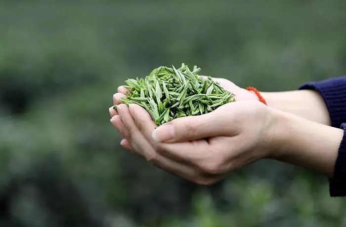 信阳发“购茶令”：市直机关可买办公茶，每人每年不超300元