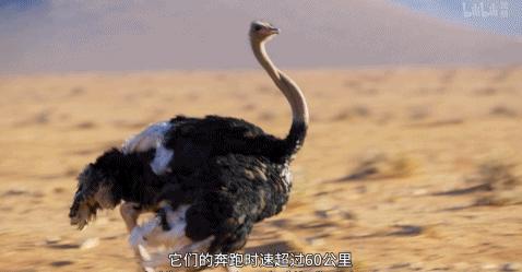 这么多限制级的画面和台词，竟然都能免费观看