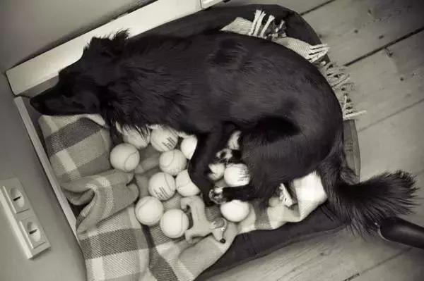 摸一下肚子就怀孕,都市传说怀孕