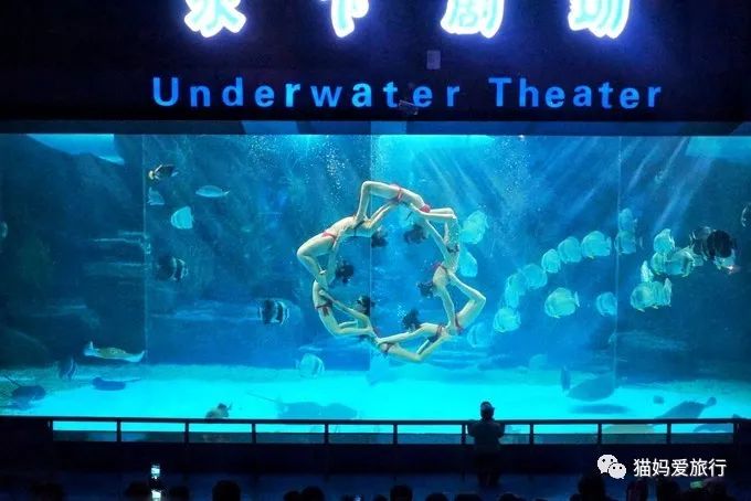 齐河附近带孩子自驾游景点,周边亲子游齐河