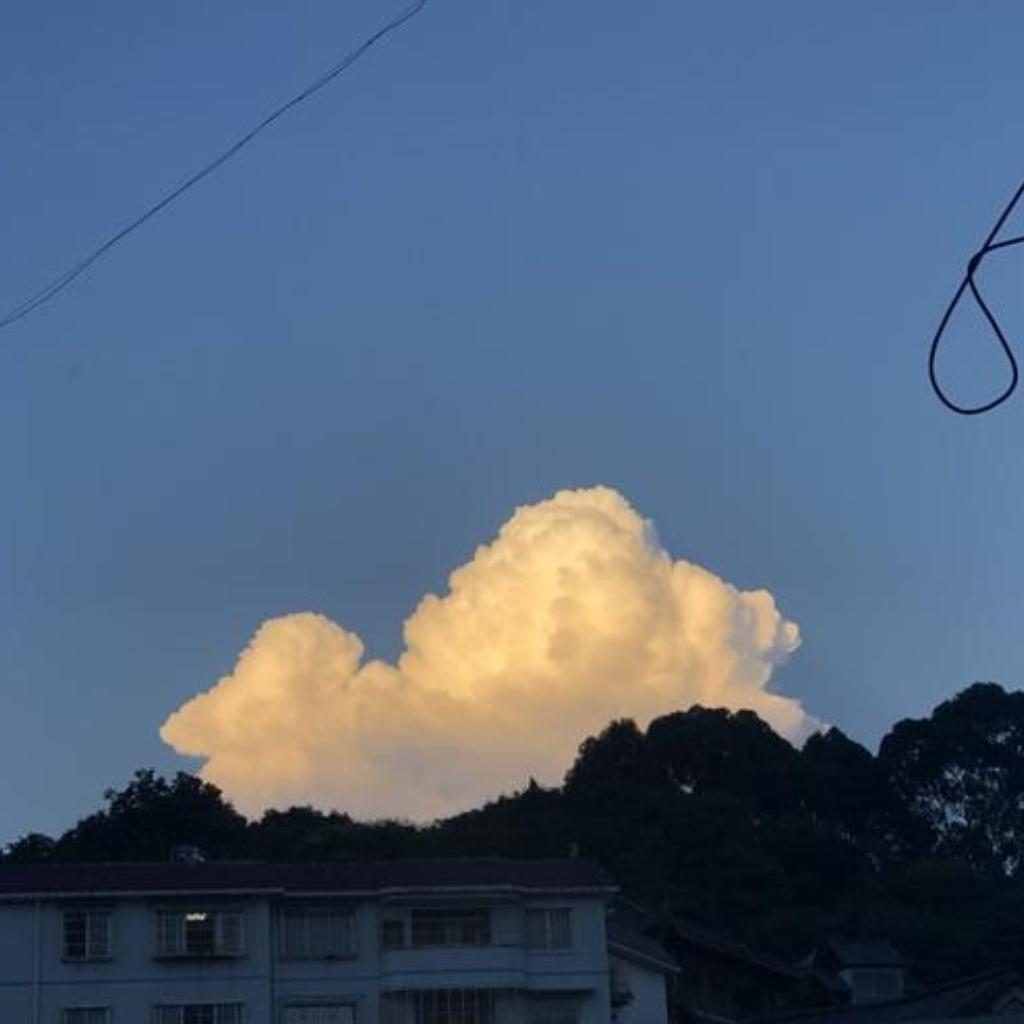 夜半婉辞（独赏）