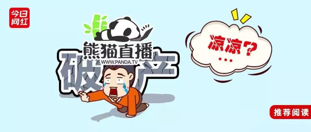 熊猫直播平台真实收入,熊猫直播的收入