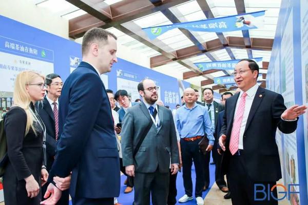 喜添新誉|豆状元斩获“美食文化品牌金奖”