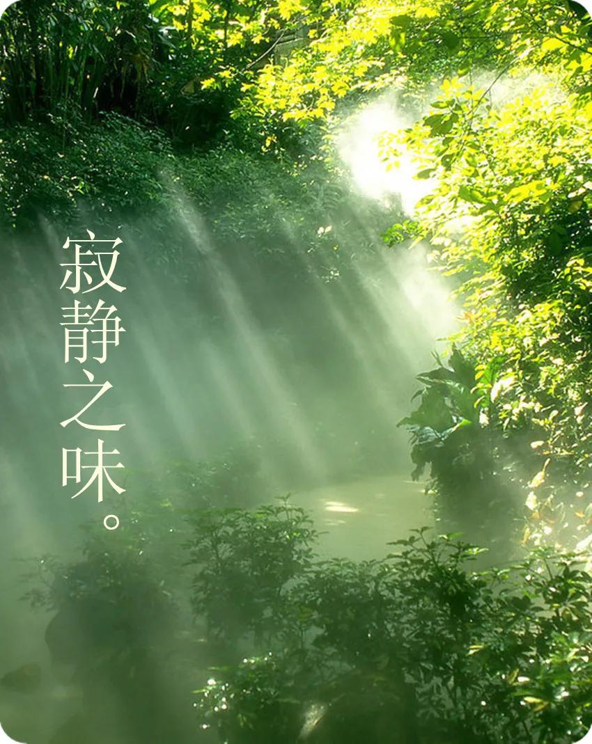 成功者与失败者的心态,成功者失败者对比图片