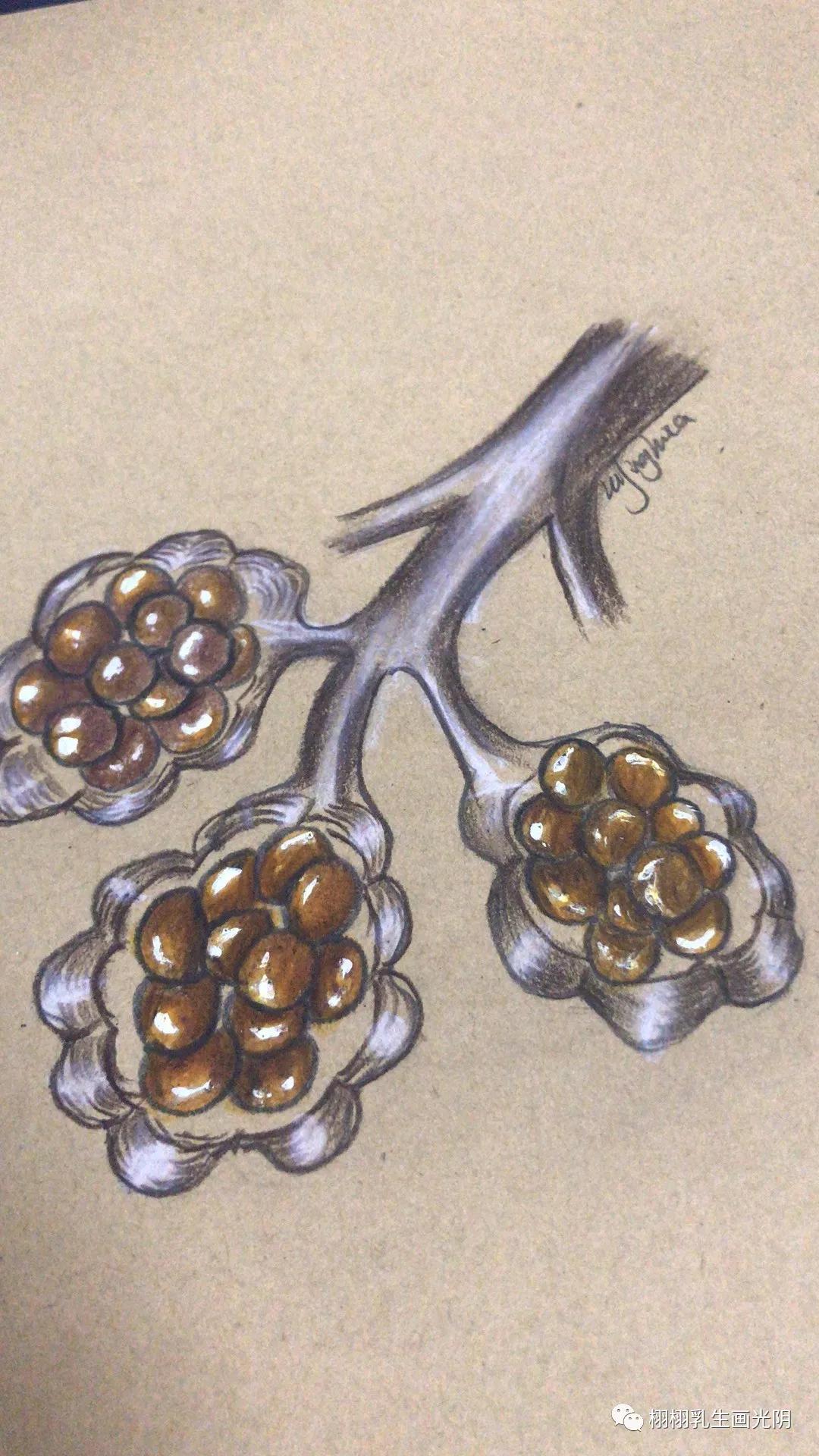 乳腺囊肿为什么会得这个病,乳腺囊肿的科普