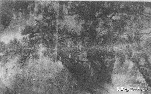 龙潭湖中湖公园游乐场摩天轮攻略,近期龙潭中湖摩天轮什么时候亮灯