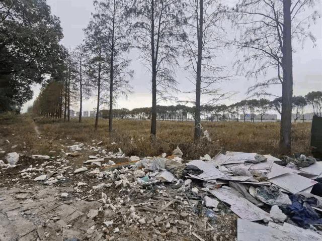 尹山湖的房价还能涨上去么,扬眉吐气欢欣鼓舞