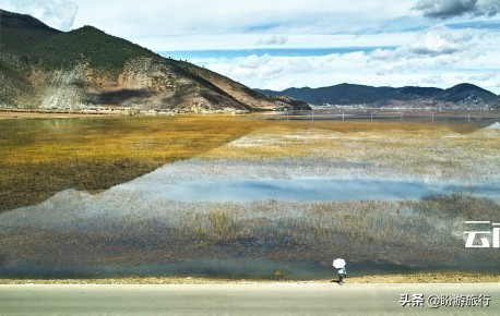 散步关西の日本深度自由行大阪都门奈良城崎、白滨温泉（上篇）
