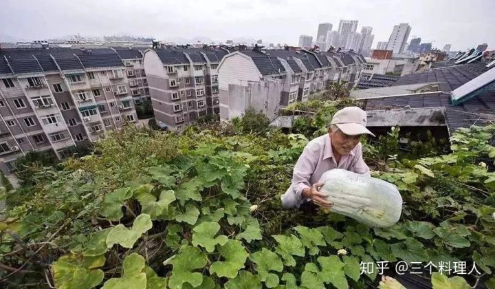 灞变笢鐨勮敩鑿滅粰鍝噷渚涚粰,灞变笢鐨勮敩鑿滈兘渚涘摢閲屼簡