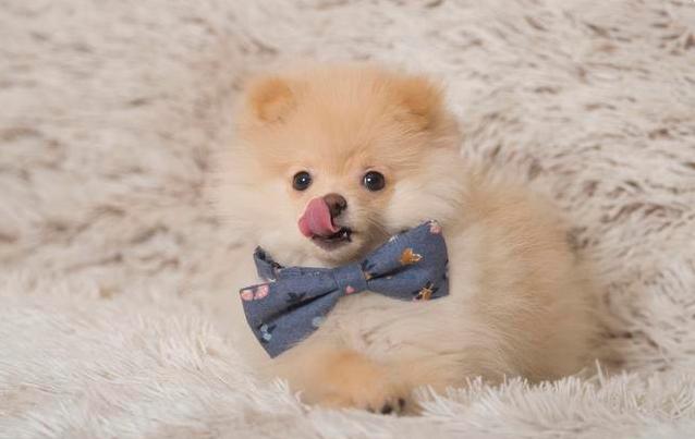 美工做了一年能达到什么水平,零基础学ps美工多久可以学会