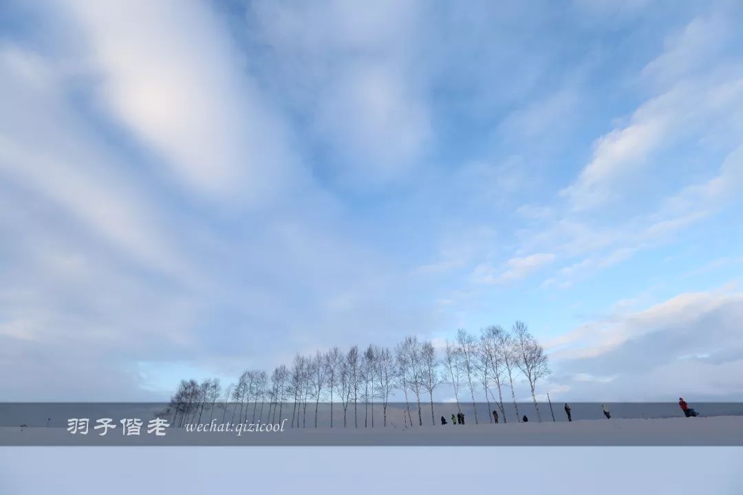 不会日语日本自由行好吗,不会日语的北海道自由行攻略