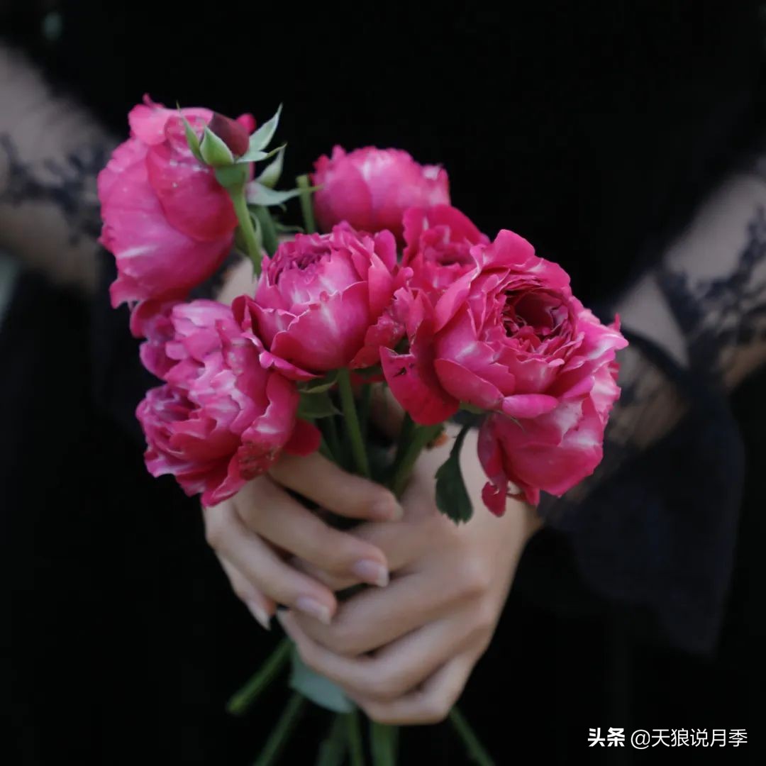 不容易，天狼自育终于打折了！空蒙只要50不到！