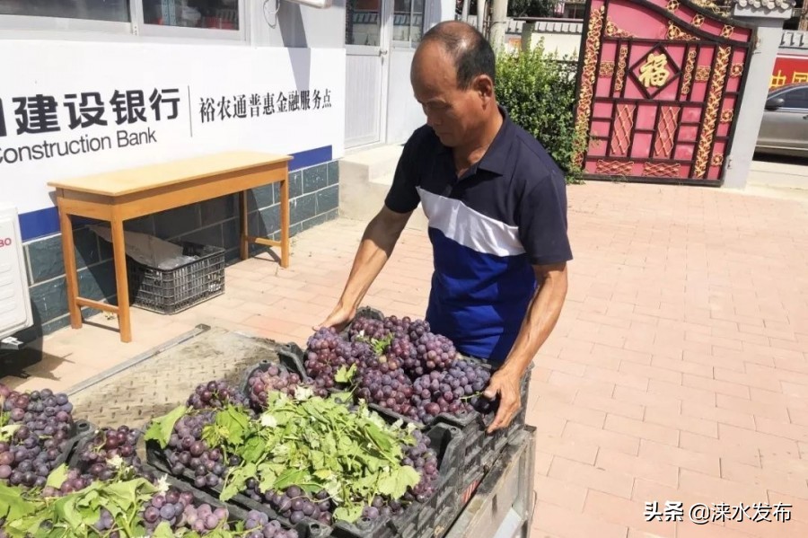 鐖卞績鍔╁啘鑻规灉鏂伴矞閲囨憳,鐖卞績浼佷笟鍔╅攢钁¤悇