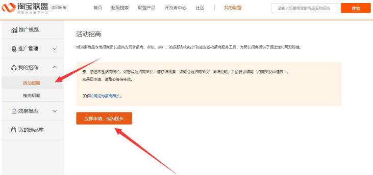淘宝团长挣钱吗,淘宝挂机项目怎么做