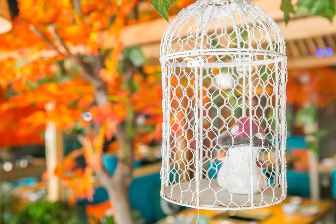 排到凌晨2点！曝光魔都这家「牛排火锅」，1折吃垮老板！