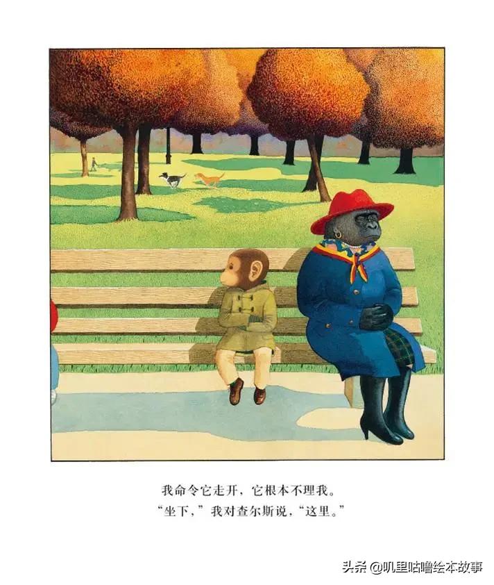 安东尼布朗儿童绘本合集,安东尼布朗出品的绘本有哪些