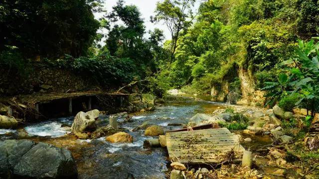 碧泉空中温泉酒店假温泉吗,碧泉空中温泉酒店金座温泉套房