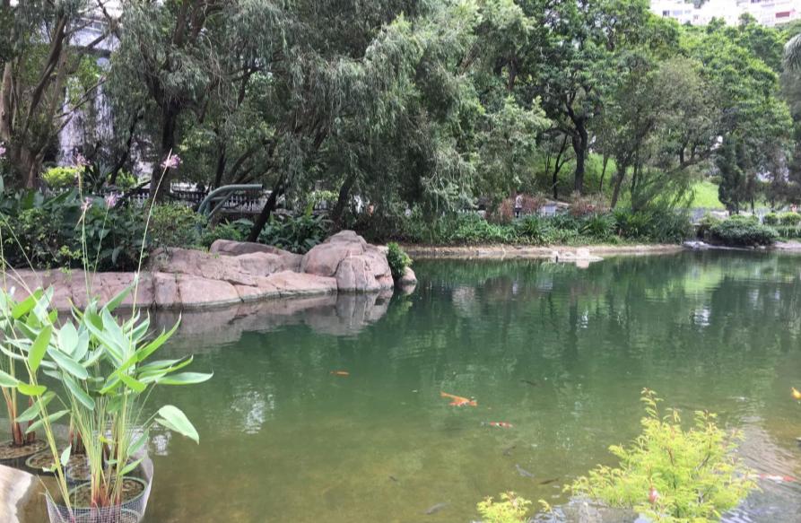 香港旅游景点必去的,香港游玩必去景点推荐