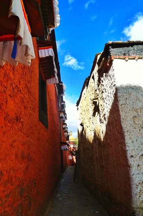 藏区遍地乱要钱？其实助人为乐更多，扎什伦布寺常做善事