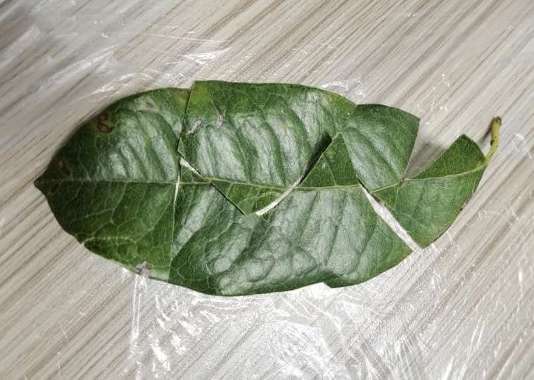 职工心理减压体验日记,女员工心理解压