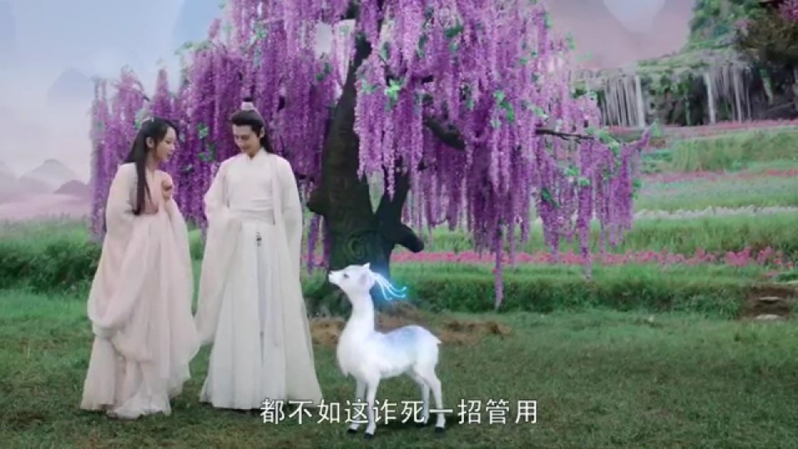 旭凤吸收了穗禾修为,旭凤锦觅修炼什么武功