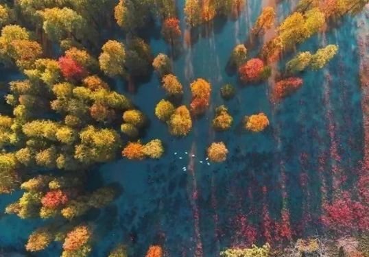 南京免费的公园,太全了